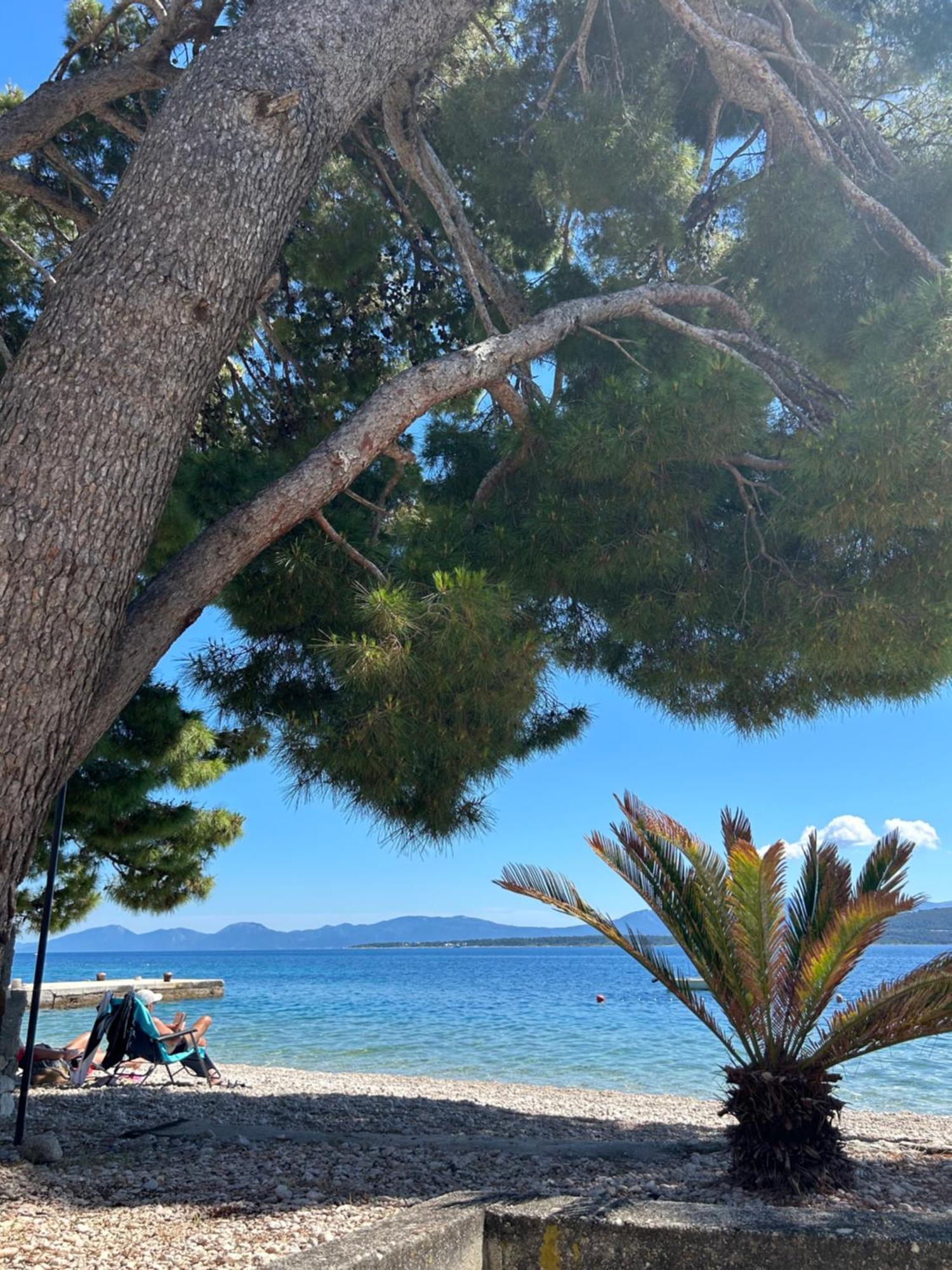 ホテル Sobe Gorana Živogošće エクステリア 写真